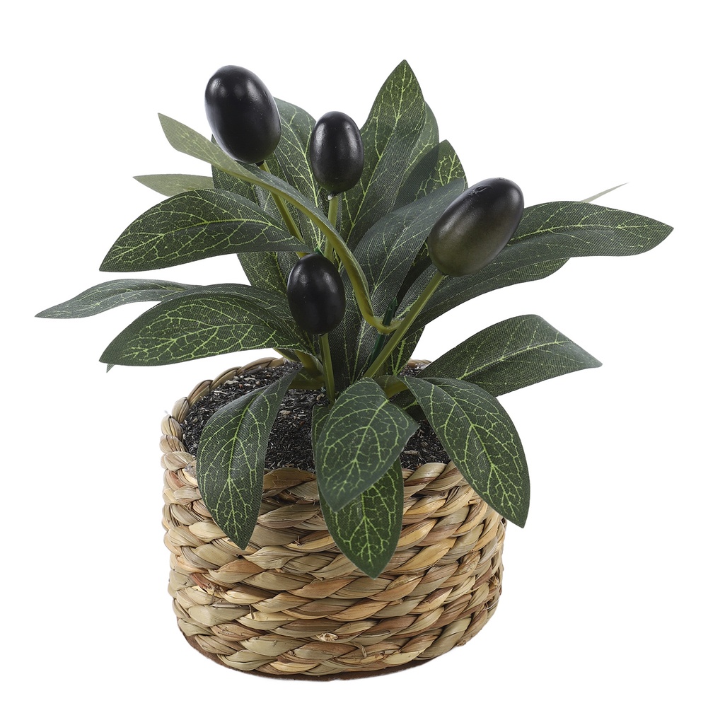 Artificial Plants Pocket Olive - Home Office Layout review and price